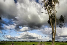 Kotlin完整倒计时界面