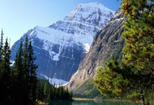 kotlin flexbox的用法